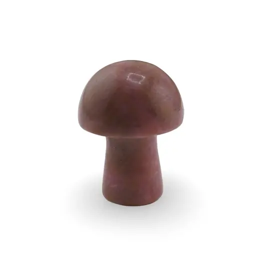 Ciuperca Rodonit 20mm