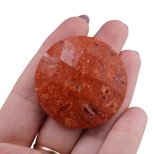 Brosa Pasta de Coral rotunda fatetata 4cm, imagine 3