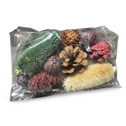 Conifere colorate, mix 10 buc, imagine 3