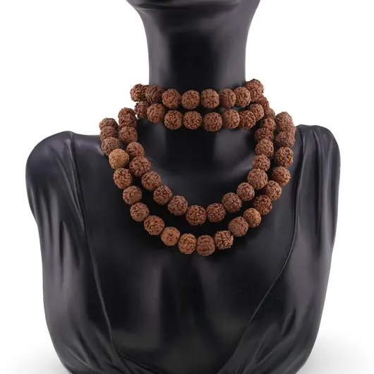 Sirag seminte de Rudraksha 10mm, imagine 2
