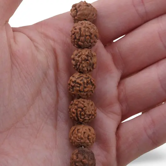 Sirag seminte de Rudraksha 10mm, imagine 3