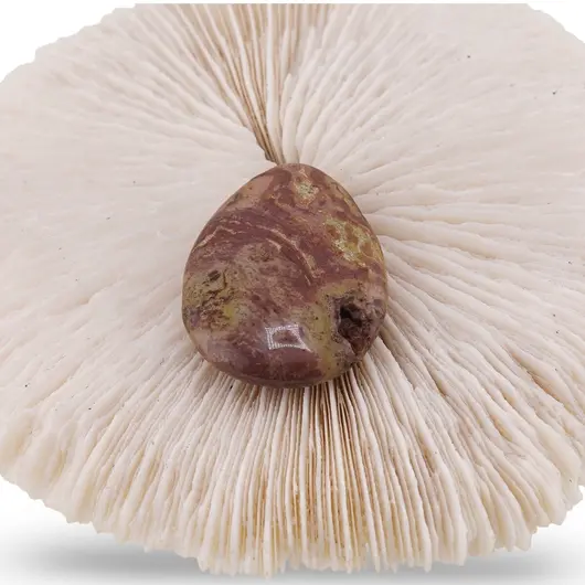 Cristal natural Opal fistic slefuit plat, imagine 2