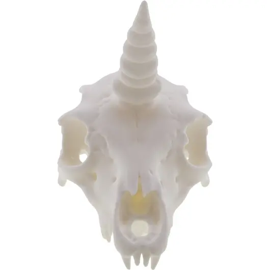Decoratiune craniu de unicorn, alba - 13cm, imagine 2