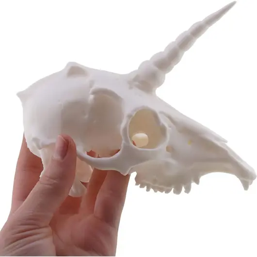 Decoratiune craniu de unicorn, alba - 13cm, imagine 3