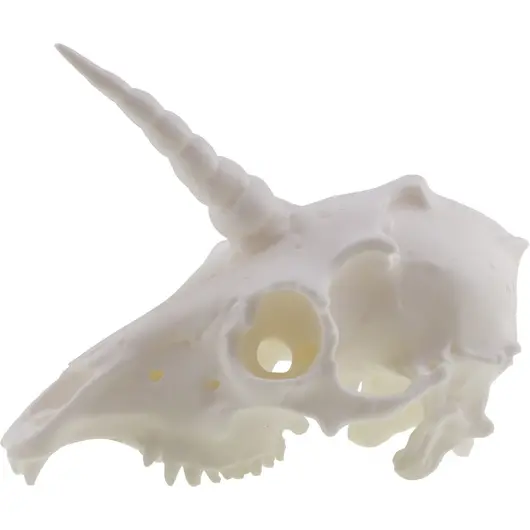 Decoratiune craniu de unicorn, alba - 13cm