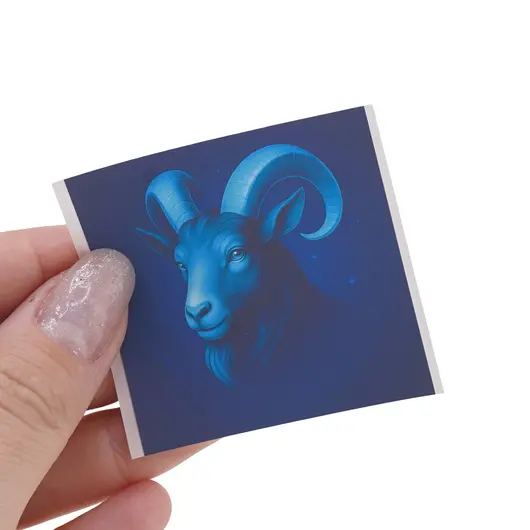 Abtibild sticker cu zodia CAPRICORN, 51mm, imagine 3