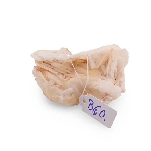 Barita, cristal unicat, B60