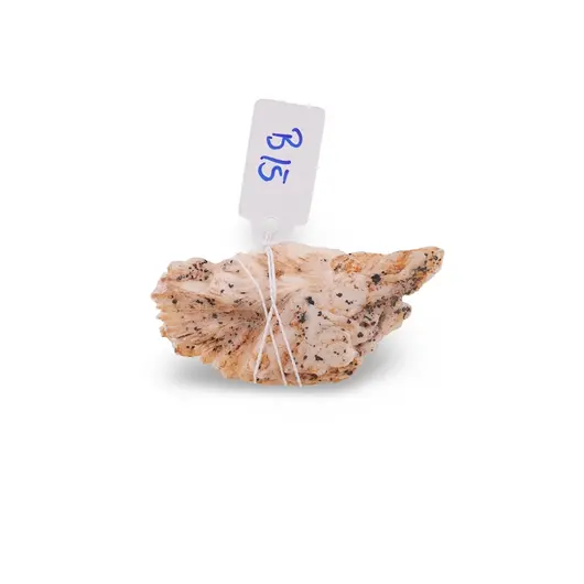 Barita, cristal unicat, B15