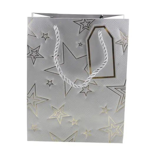 Punga pentru cadou dreptunghiulara argintie cu diverse modele, 23x18cm