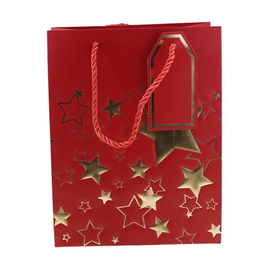 Punga pentru cadou dreptunghiulara rosie cu diverse modele, 23x18cm, imagine 2