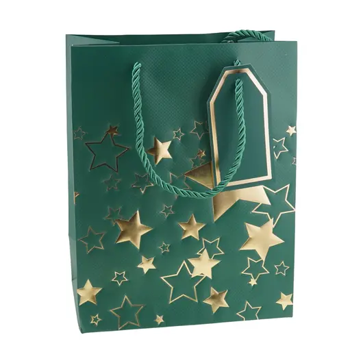 Punga pentru cadou dreptunghiulara verde cu diverse modele, 23x18cm, imagine 3