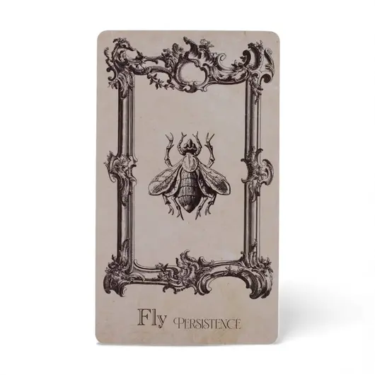 Oracol Cartea Vrajilor - 40 de carti oracle, imagine 5