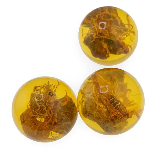 Decoratiune sfera cu scorpion in rasina, 5cm, imagine 2