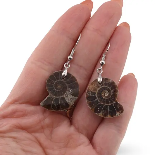 Cercei cu agatatoare Fosila Amonit, 23mm, imagine 3