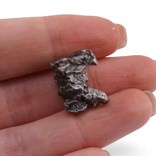 Meteorit New Campo del Cielo
, cristal unicat C39, imagine 2