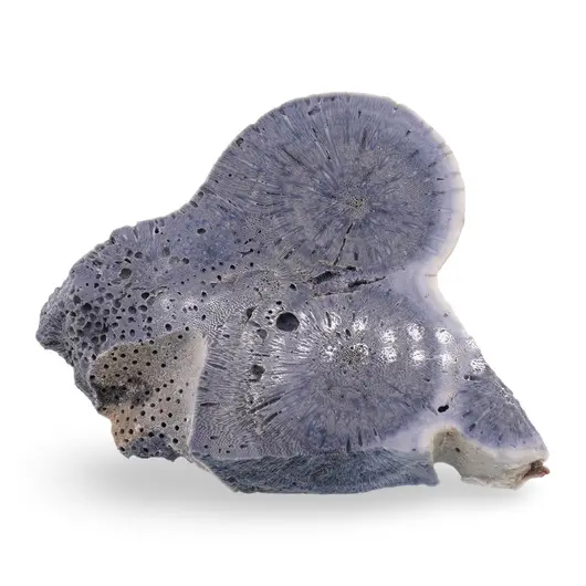 Felie slefuita unicat din Coral albastru, C2