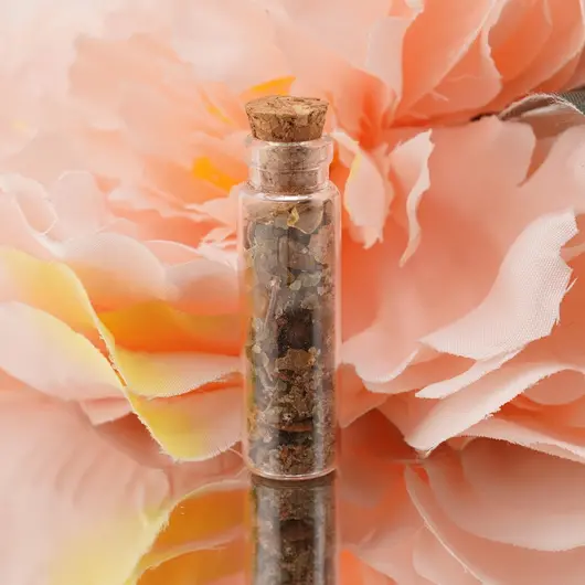 Spelljar pentru pentru PROSPERITATE cu ierburi si cristale naturale in sticluta cu dop de pluta, imagine 3