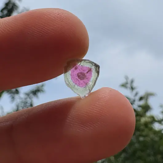 Turmalina Watermelon, cristal natural unicat, cod A13, 8x2mm, 2.19ct