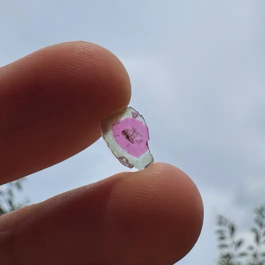Turmalina Watermelon, cristal natural unicat, cod A17, 9x2mm, 1.81ct