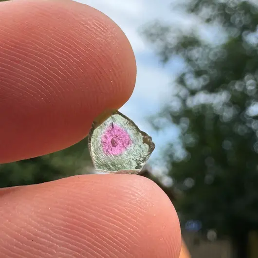 Turmalina Watermelon, cristal natural unicat, cod A47, 6x2mm, 1.5ct