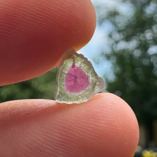 Turmalina Watermelon, cristal natural unicat, cod A48, 8x4mm, 2.67ct