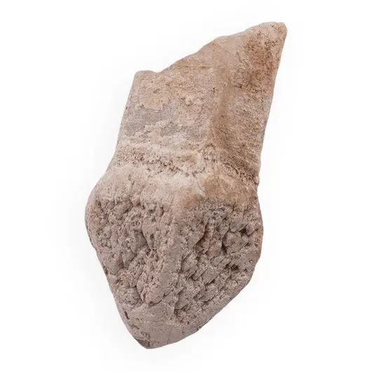 Cuart sceptru, cristal natural unicat, 48x25mm, 22.49g, cod A18