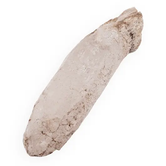 Cuart sceptru, cristal natural unicat, 80x23mm, 46.74g, cod A5