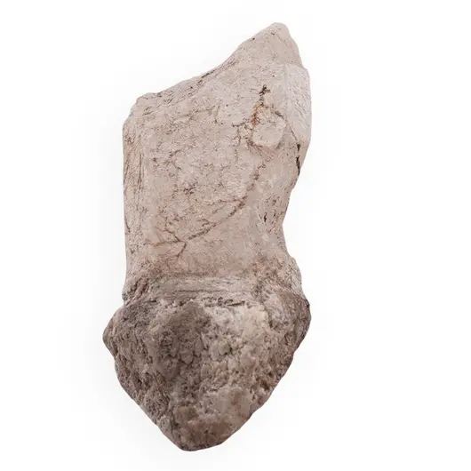 Cuart sceptru, cristal natural unicat, 61x24mm, 29.45g, cod A7