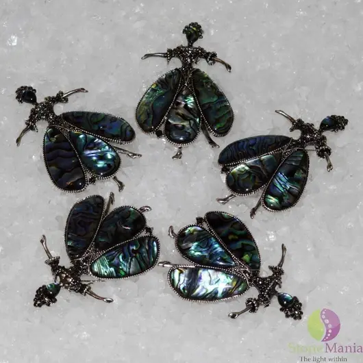 Brosa printesa scoica abalone