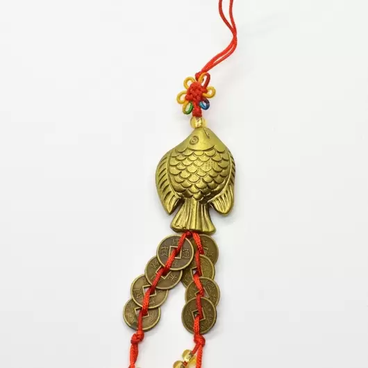 Amuleta canaf Feng Shui cu peste si monede chinezesti