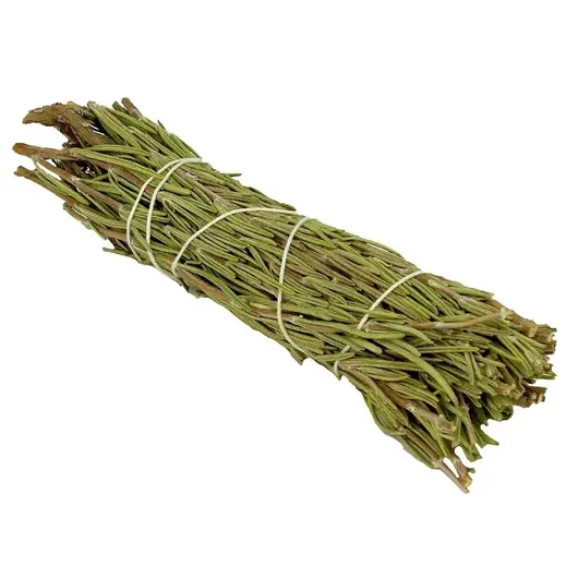 Buchet rozmarin (Rosemary) 12cm, imagine 4