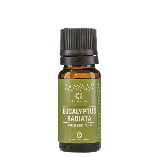 Ulei esential de Eucalipt Radiata, Mayam 10ml, imagine 2