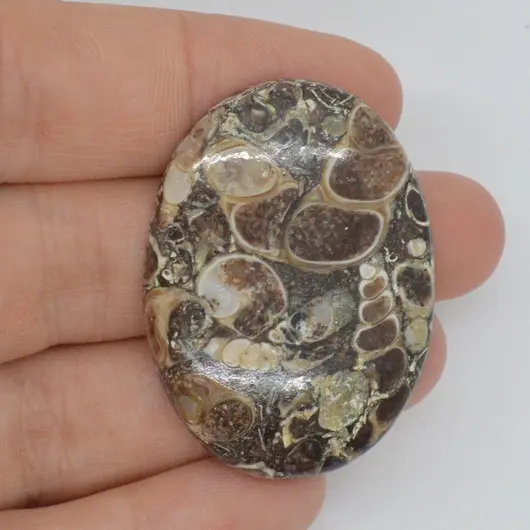 Cabochon agat turitela 39x29x6mm A17