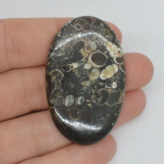 Cabochon agat turitela 46x29x6mm A49