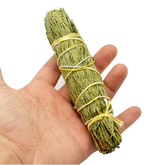 Buchet Cedru (Cedar) 11-12cm, imagine 3
