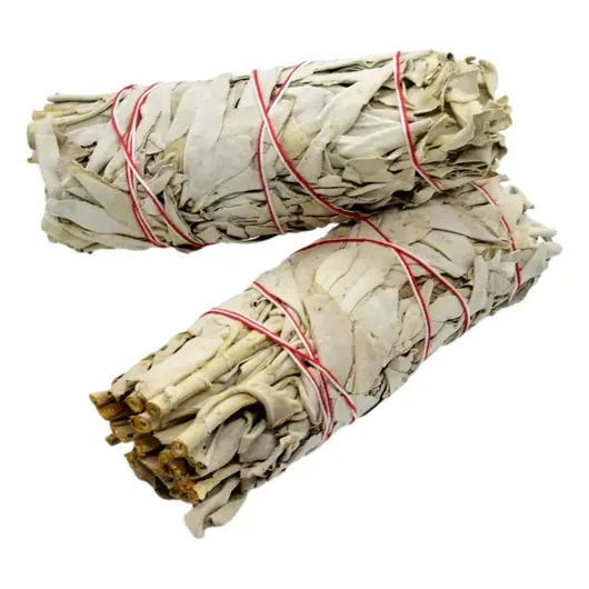 Buchet Salvie Alba (California White Sage) 14cm, imagine 2
