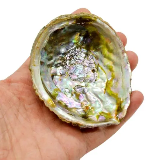 Scoica abalone - suport ardere ierburi parfumate, imagine 4