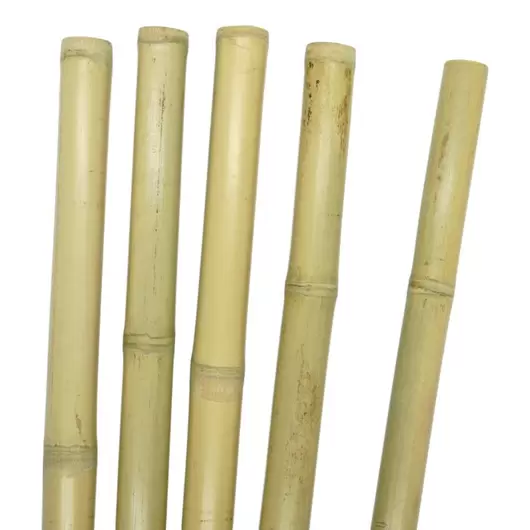 Bat din bambus pentru masaj 40cm (1,5 - 2cm grosime), natur, Culoare: Natur, imagine 2