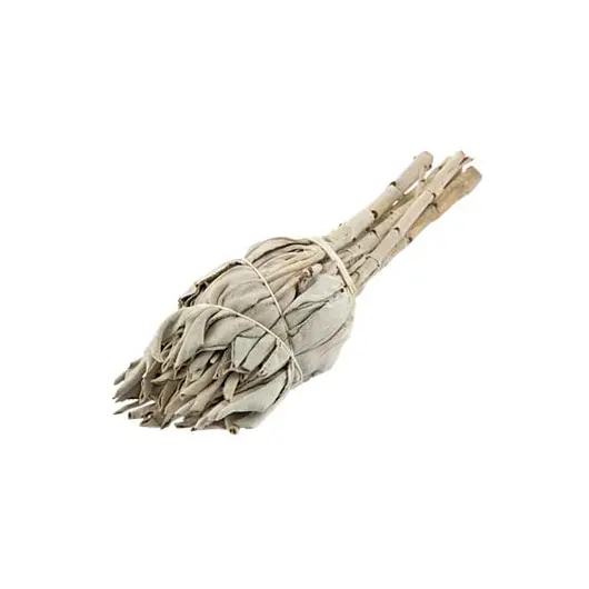 Buchet Salvie Alba Torta (California White Sage Torch) 10cm, imagine 2