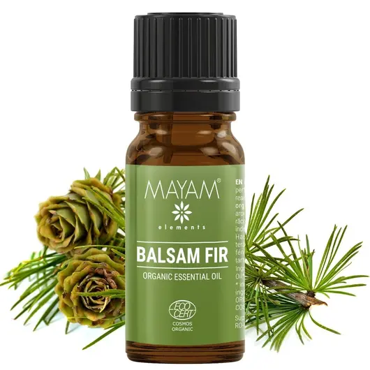 Ulei esential de Brad balsamic Bio, Mayam 10ml, imagine 2