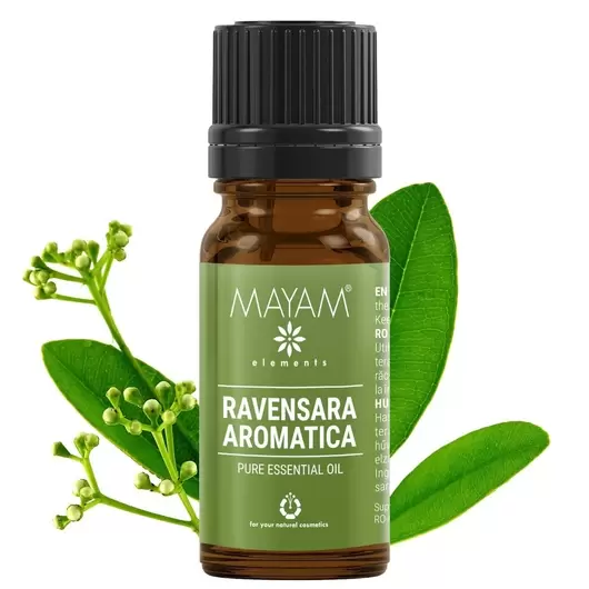 Ulei esential de Ravensara aromatica, Mayam 10ml, imagine 2