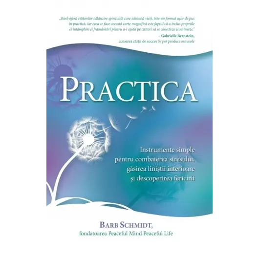 Practica - Barb Schmidt, carte
