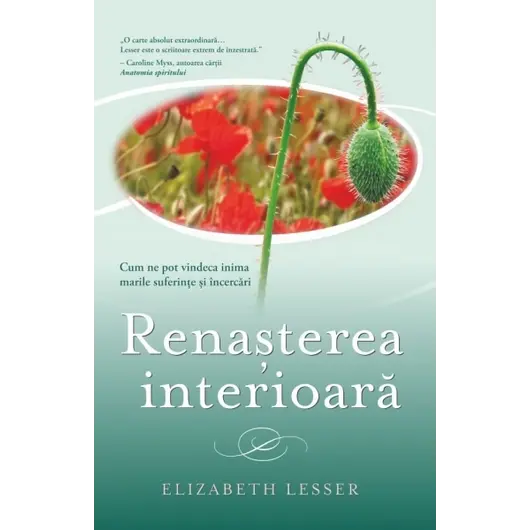 Renaşterea interioară - Elizabeth Lesser, carte