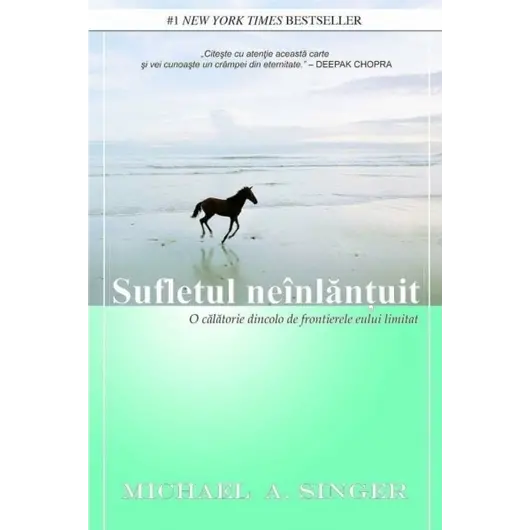 Sufletul neînlănţuit - Michael A. Singer, carte