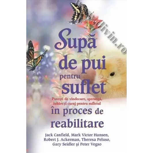 Supă de pui pentru suflet în proces de reabilitare - Jack Canfield, Mark Victor Hansen, Robert J. Ackerman, Theresa Peluso, Gary Seidler şi Peter Vegso, carte