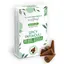 Conuri parfumate pe baza de plante Spicy Patchouli, 12 bucati, Backflow