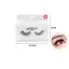 Gene False 5D C001 MZ-527194-1 048072