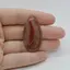 Cabochon Agat Botswana Portocaliu 42x21x5mm C6