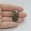 Cabochon Agat Crazy Lace 35x18x4mm C112