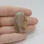Cabochon Agat Crazy Lace 38x24x4mm C100
